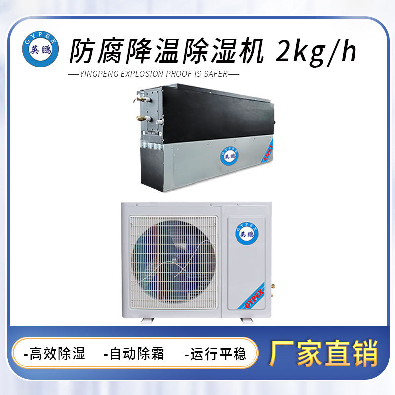 防腐风管式降温除湿机2KG