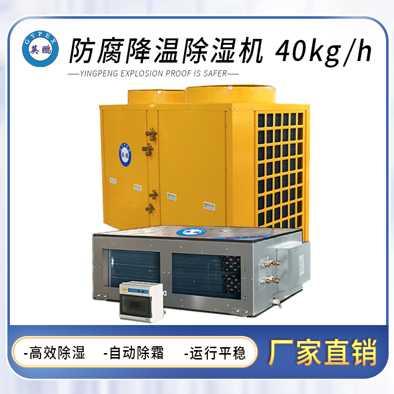 防腐风管式降温除湿机40KG